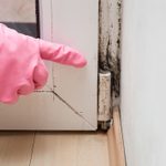 14 Health Effects of Mold in Your Home, from an Air Quality Scientist