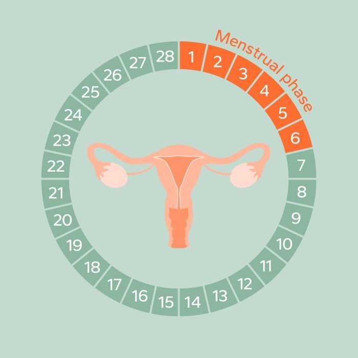 Monthly Cycle Phases - Menstrual phase
