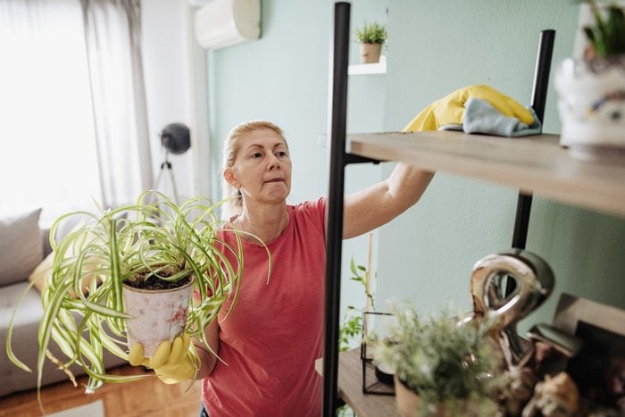 Woman holding a plant in one hand and wiping dust from a shelf