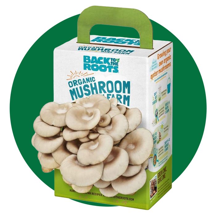  Back To The Roots Organic Mini Mushroom Grow Kit