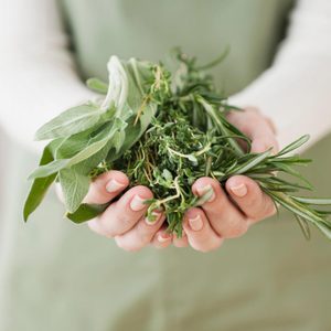 close up shot of woman holding herbs