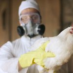 What Is Avian Influenza and Can People Get It?