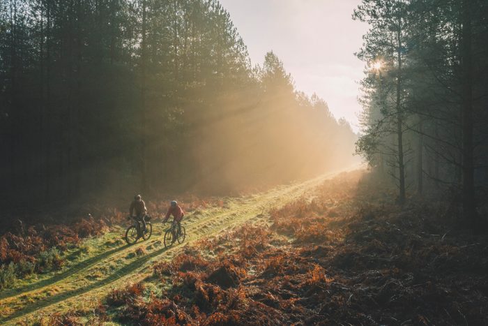 Two men cycling through the forest as the morning sun lights up the trail