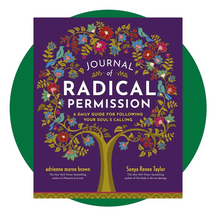 Journal Of Radical Permission