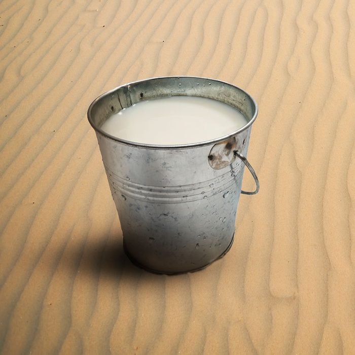 Bucket Of Camel's Milk In The Desert