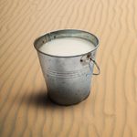 What Is Camel Milk and Should You Drink It?