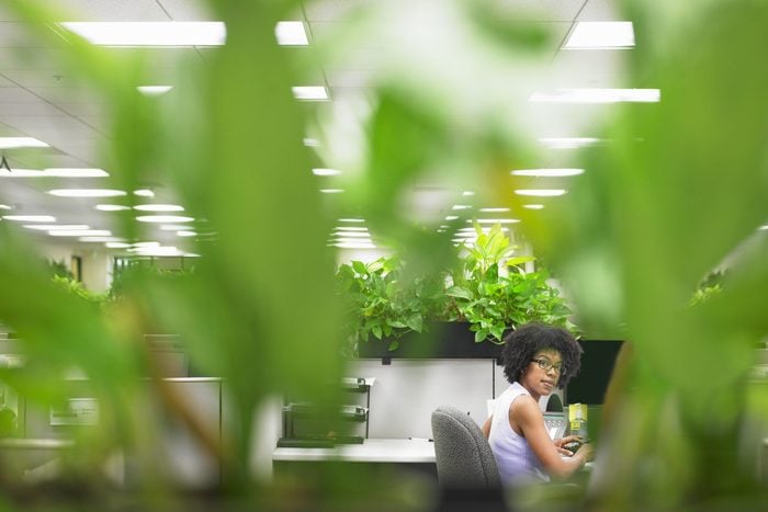 Female office worker peers through leaves of desktop plant