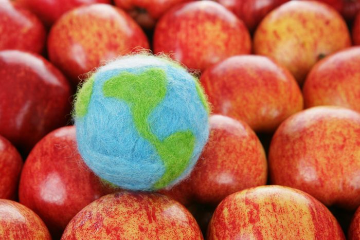 A background of apples with a small felted earth