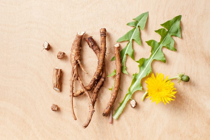 Young fresh dandelion roots, leaves and flowers on a wood background demonstrating the different parts of a dandelion used to make tea