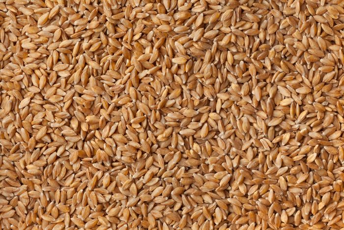 eat organic Einkorn wheat seeds to help Your Risk of Macular Degeneration