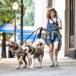 These Are the 3 Most Common Dog-Walking Injuries, New Johns Hopkins Study Says