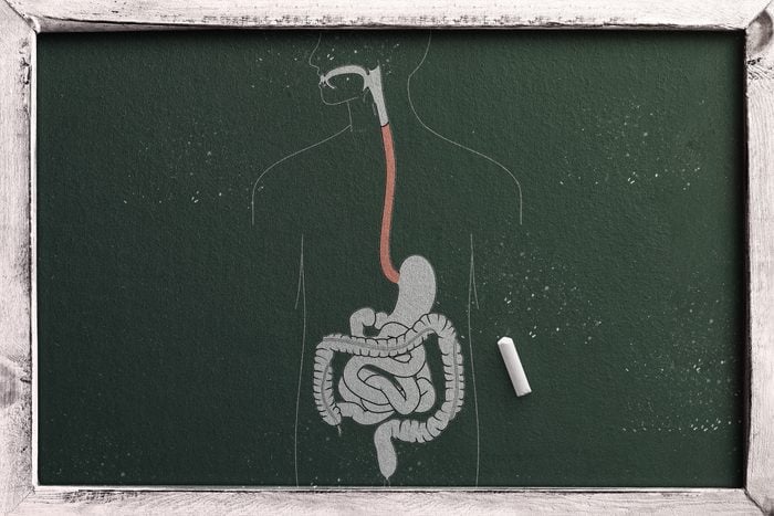 internal organs in chalkboard