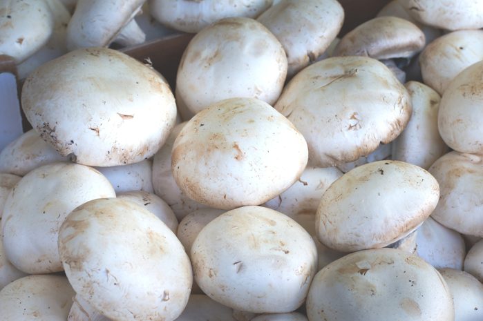 Champignons. white mushroom for sale on market. Agriculture background. Top view. Close-up