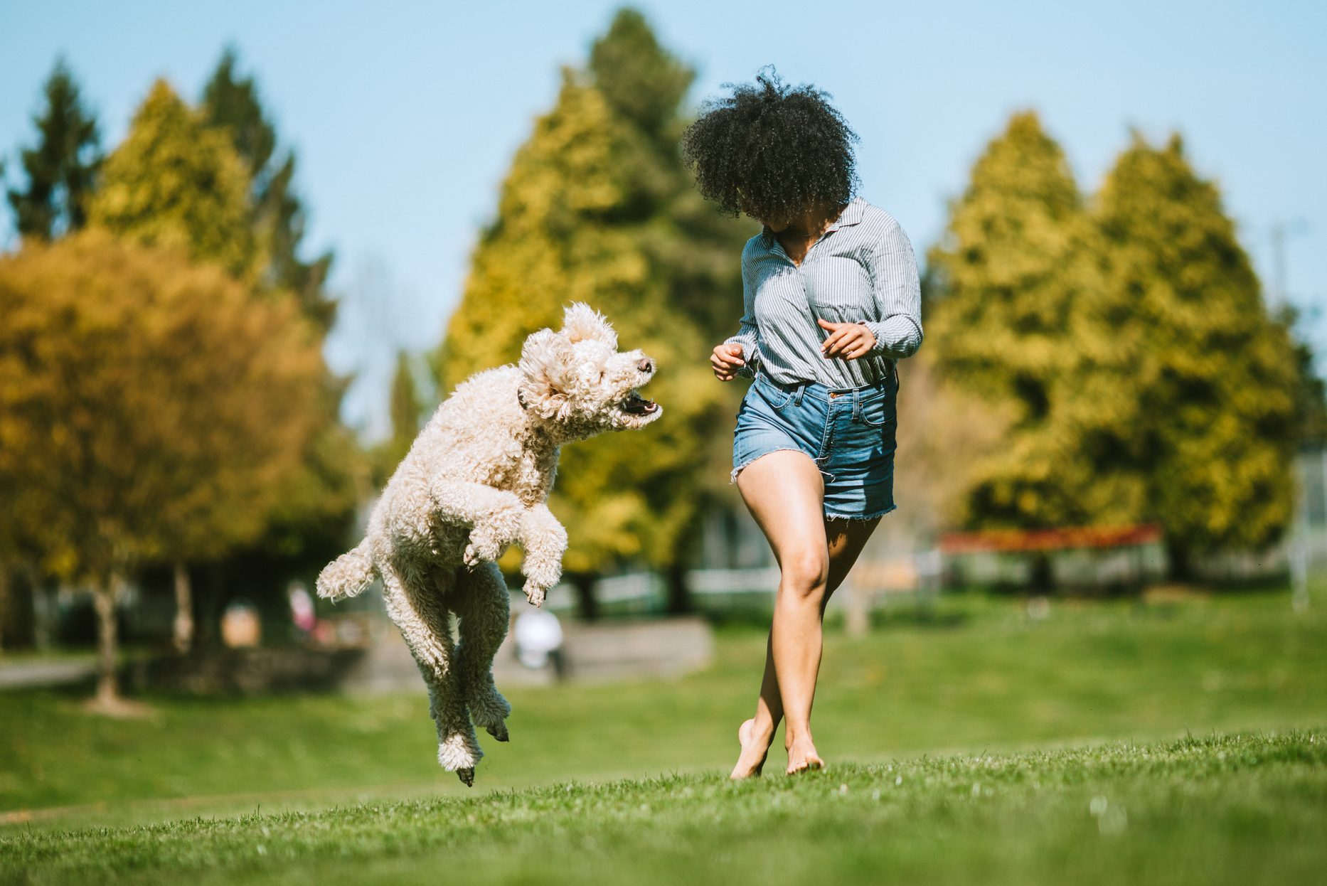 A Young Woman Plays Outside With Pet Poodle Dog