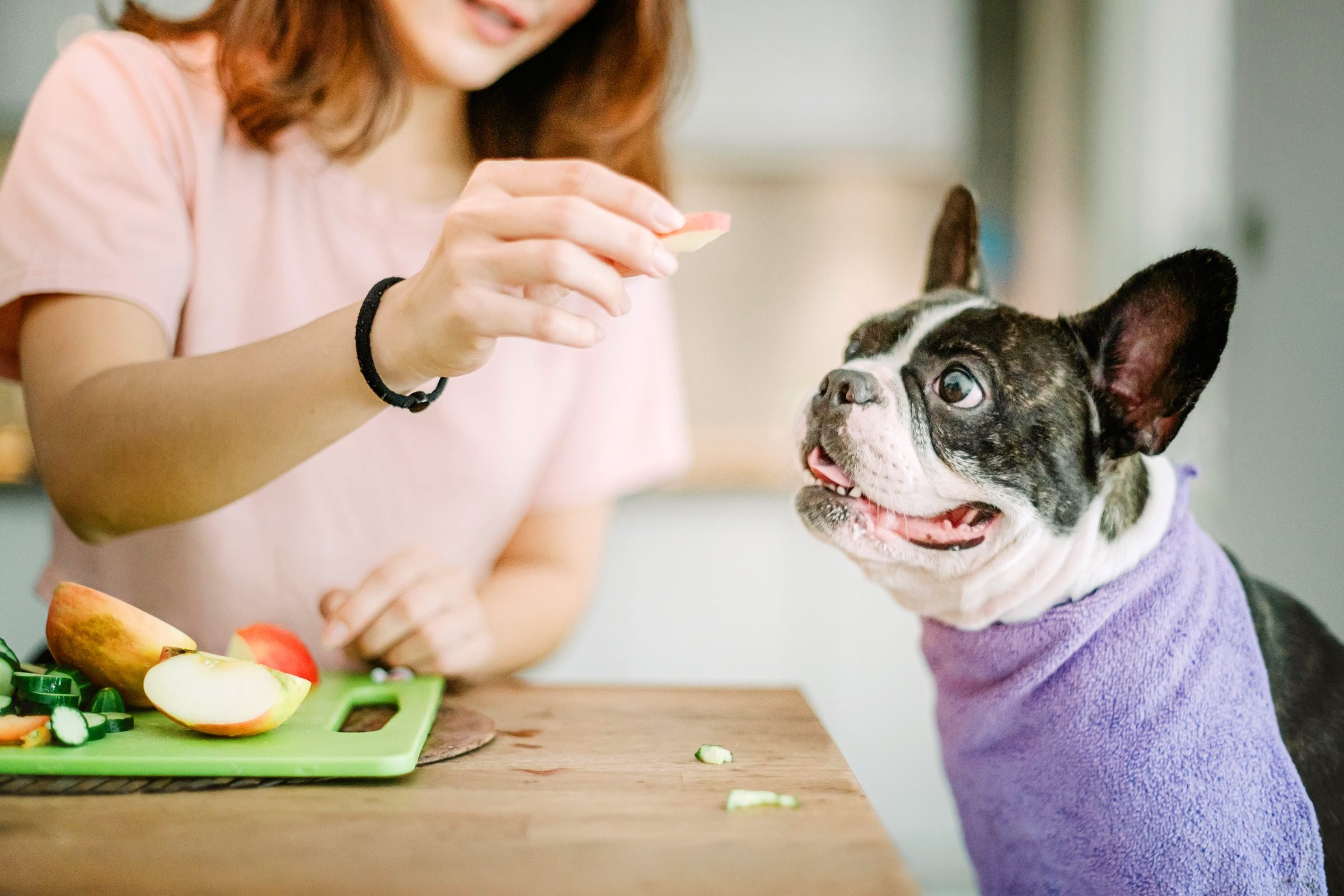 What Happens If Your Dog Eats an Apple Core: Potential Dangers Unveiled