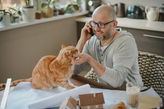 Mature adult man working at home with cat