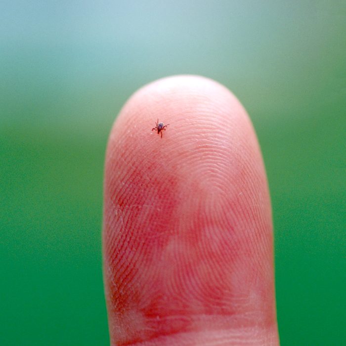 tiny tick on a finger