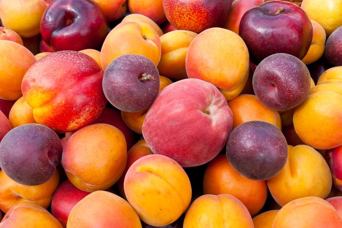 "Pile of colorful summer fruits - apricots, nectarines, peaches, plums and red velvet apricots."
