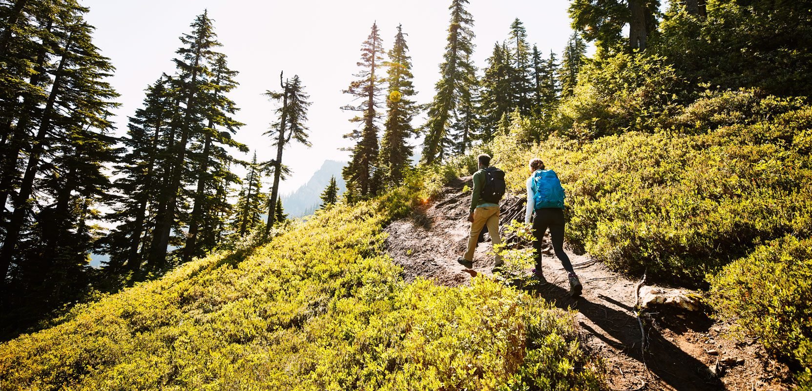 unrecognizable man and woman Hiking On Trail Through Forest on a sunny day