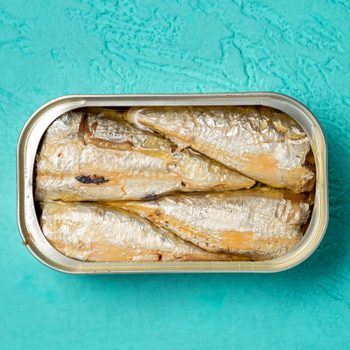 Sardines in a tin on a bright teal background
