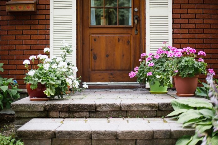 Flower pot on a porch in front of door