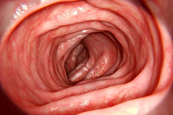 Computer illustration of a healthy intestine.