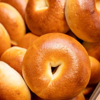close up of plain bagels from a bakery