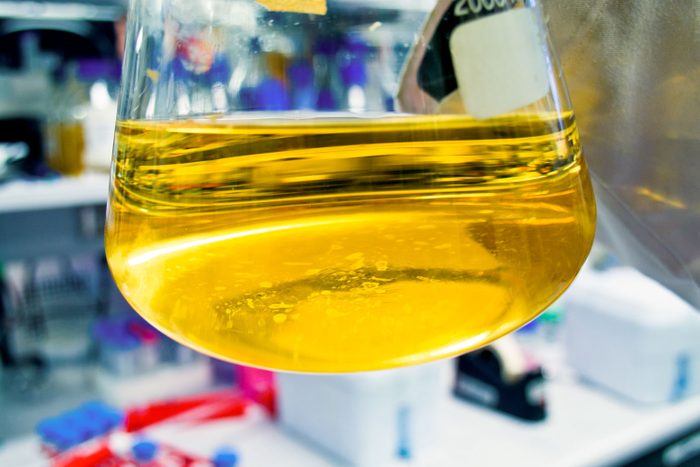 close up urine in a glass flask in a lab environment